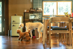 ＜愛犬と泊まれる！＞※公式サイトプラン※プライべートドッグラン＆ペットグッズ充実（夕食付）＜ペットOK＞