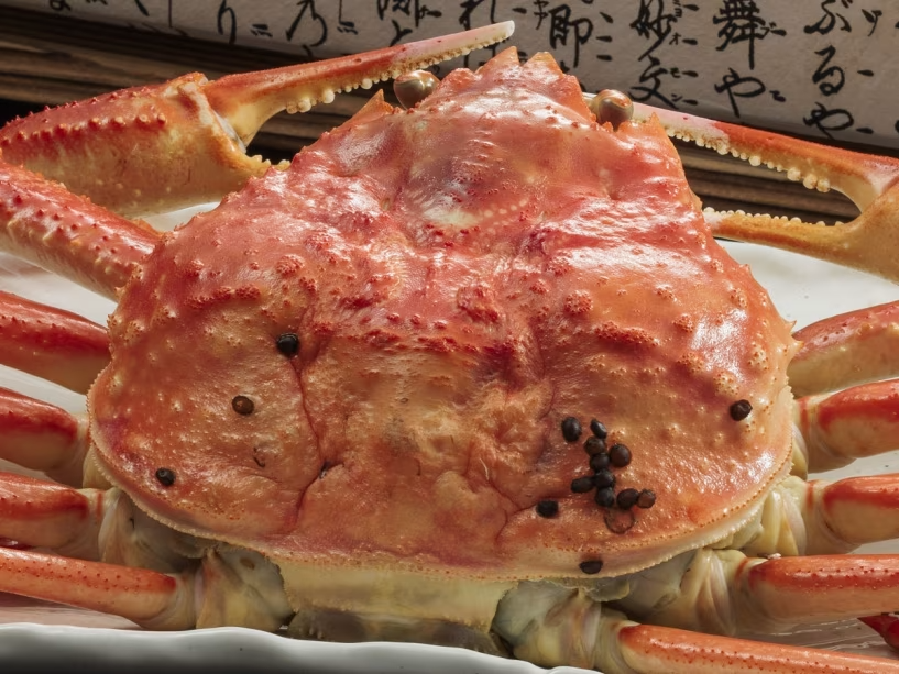 【活ずわい蟹】～冬の味覚～