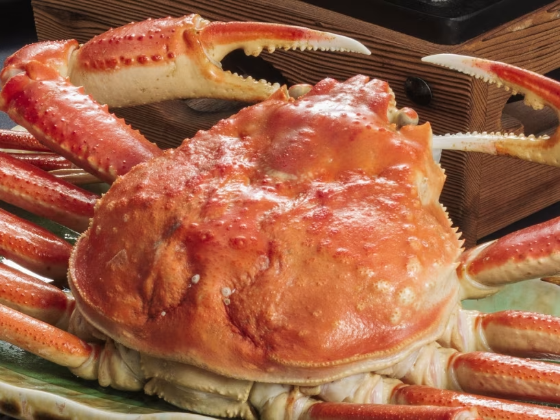 【冷凍ずわい蟹】～冬の味覚～