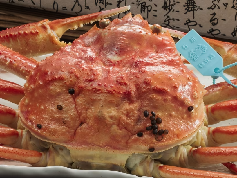 【加能蟹】～冬の味覚～