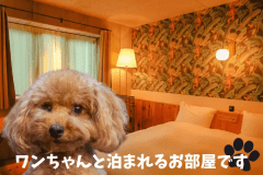 ワンちゃん同伴対応ルーム（スタンダード/17㎡/クイーンベット１台）