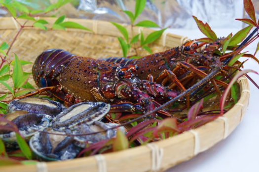 ＜厳選高級食材を堪能＞海の恵みイセエビとアワビ