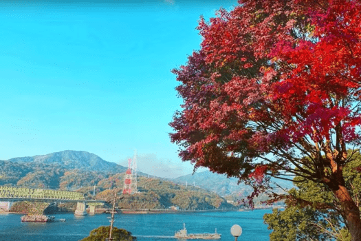 大島大橋｜秋色に染まる瀬戸内。
ゆっくりと眺めたい、周防大島の島景色。
