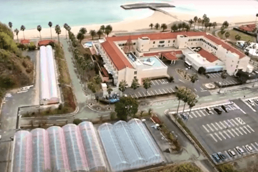 【2026年1月18日OPEN！マリッサベリーファーム】直営いちご農園で、初摘み苺のおいしさを体験。