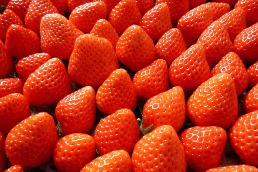 【いちごスイーツ・ランチブッフェ】（一例）
自社農園いちごを使用した、
この時期だけの特別なスイーツ、ランチをお楽しみください。