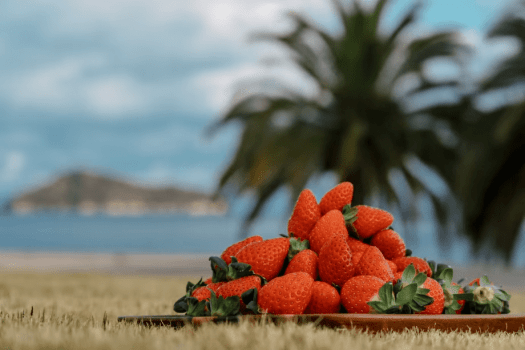 ウェルカムラウンジや、ご夕食のお料理で、自社いちご農園「マリッサベリーファーム」で育った完熟いちごをふんだんに使用。
素材そのものの美味しさを、シンプルに味わっていただけます