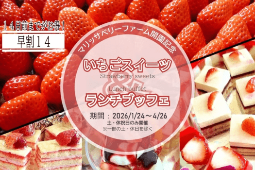【早割14】計画的なご予約で、少し贅沢に。14日前までのご予約限定 いちごランチブッフェを特別価格で。 大人4,000円（通常4,400円）／小学生2,700円（通常2,970円）／3～5歳 1,800円（通常1,980円） （画像はデザートイメージです）