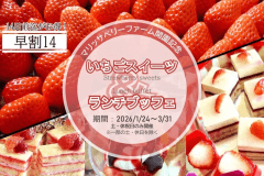【早割14】計画的なご予約で、少し贅沢に。14日前までのご予約限定
いちごランチブッフェを特別価格で。
大人4,000円（通常4,400円）／小学生2,700円（通常2,970円）／3～5歳 1,800円（通常1,980円）