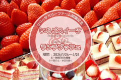 【いちごランチブッフェ】 自社農園のいちごを贅沢に使用した、旬の味わいをランチブッフェでお楽しみください。 （画像はデザートイメージです）