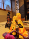 豊臣夫婦プラン　（ご夫婦＆カップル限定）
