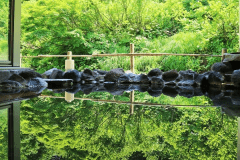 【素泊り】湯に癒され、酒にほどける｜日本三大薬湯・松之山温泉で大人リトリート【食事なし】