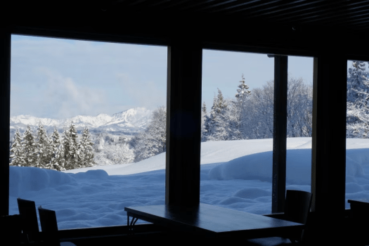 【記念日プラン】オーベルジュ醸す森で過ごす とっておきのひととき【2026年1月30日～】