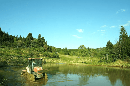 1泊朝食&rdquo;松之山・天水田のコシヒカリ&rdquo;を味わう里山朝食【2026年1月22日～】
