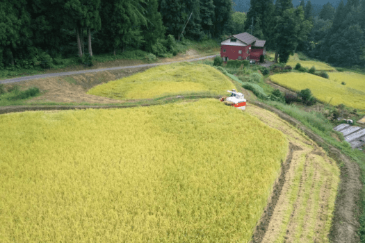 1泊2食 季節のコース+新潟地酒9種のんべえセット【2026年1月30日～】