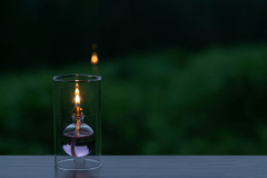 ～ひとり旅welcome～ 醸す森で新潟ガストロノミー【おやつ＆ウェルカムドリンク付】