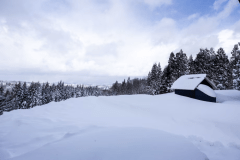 【RoomV】醸す森ヴィラ