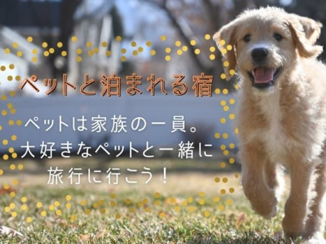 わんちゃんを預けて泊まれる宿
