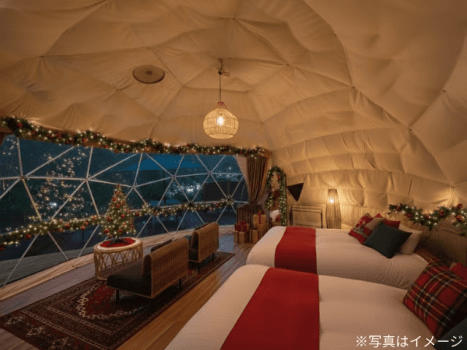 ✨星降る森のクリスマスステイ🎄〜カップルやファミリーにおすすめの冬季限定プラン〜【選べるお食事タイプ】