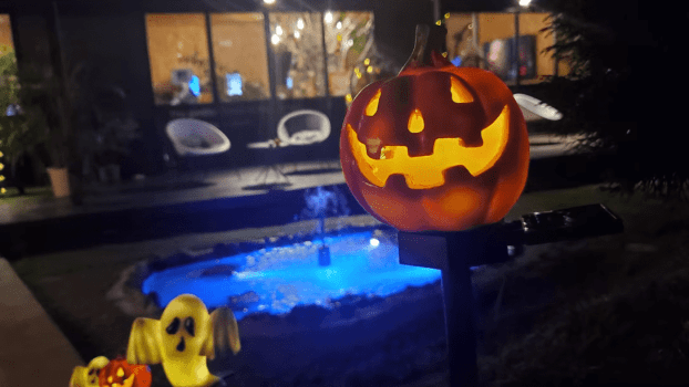 【選べる食事タイプ】虹色焚き火付き！森ハロデビュープラン🎃