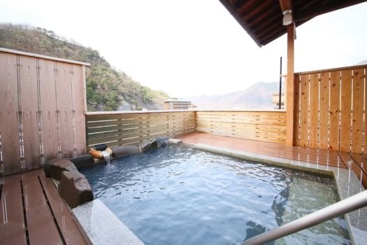 【露天風呂】当館のお湯は、源泉かけ流しの単純硫黄泉。すべすべの色白肌になると評判です。