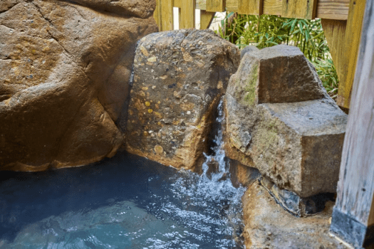 露天風呂付き和室（禁煙）