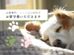 お食事の際は、わんこ・ペットはお部屋でお留守番をお願いいたします