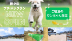 プチドッグランOPEN♪越後平野を一望できる穂々の屋上でわんちゃんと一緒にリフレッシュ！