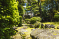 【中庭】鳥たちも遊びに来る庭園。全てのお部屋から覧いただけます。