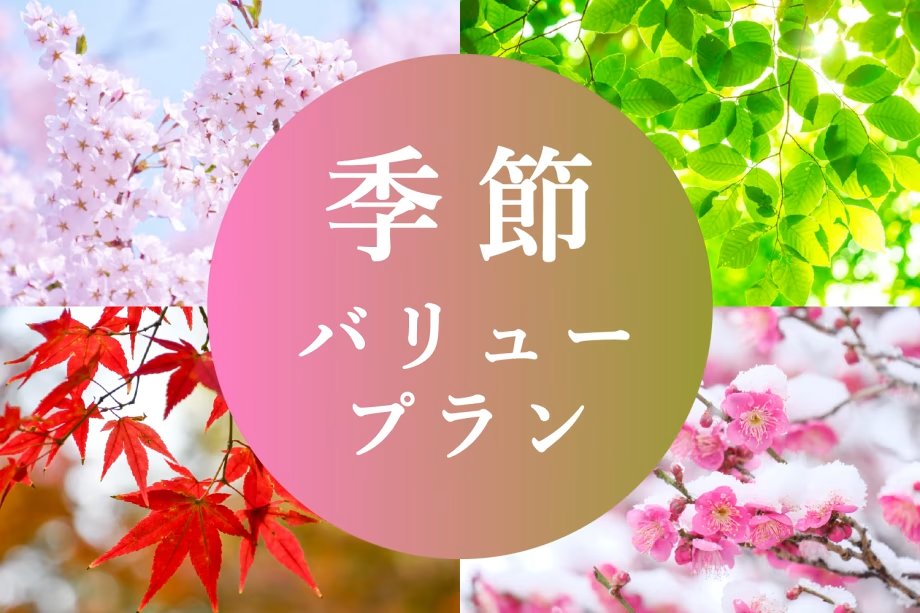 季節バリュープラン