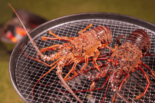 和歌山伊勢海老　※写真はイメージです