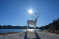 石巻の雄鹿半島エリアにあるパブリックアート【White Deer(Oshika)】