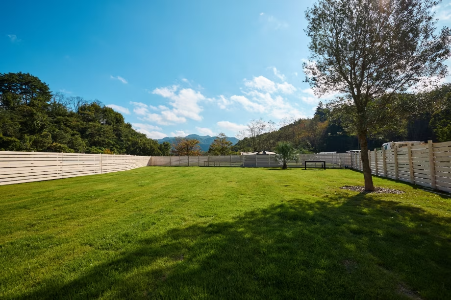 愛犬とのびのびキャンプ – 広々キャンプサイトでしっぽが止まらない！