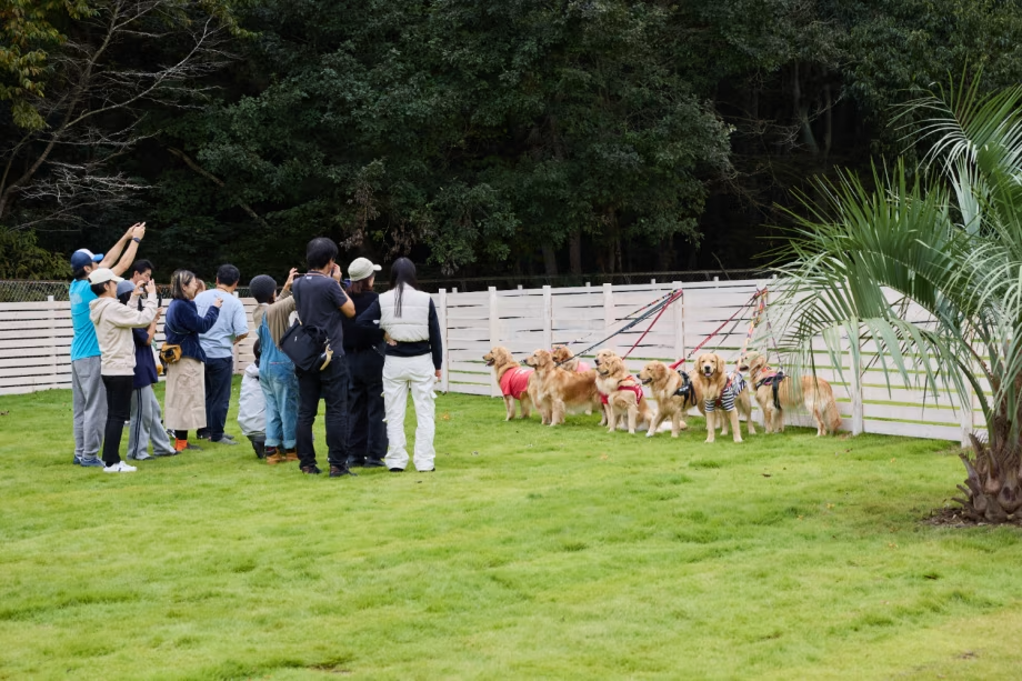 オフ会やグループ利用に大人気の日帰りプラン オフ会やグループ利用に大人気の日帰りプラン