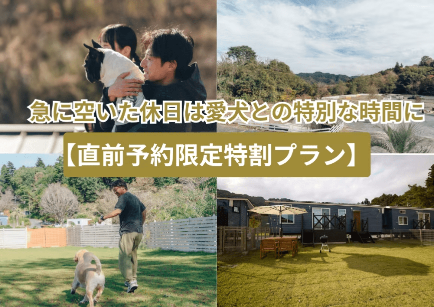 急に空いた休日を愛犬との特別な時間に【直前予約限定特割プラン】