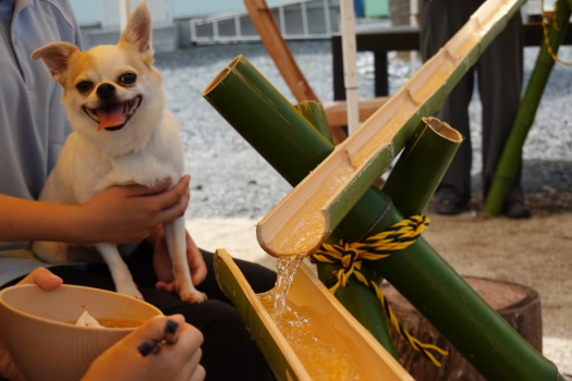 流しそうめん11:00～12:00