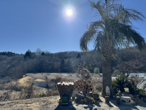 ドッグキャンプサイトA ドッグキャンプサイトA