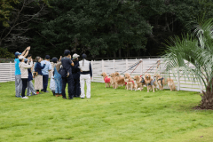 ドッグキャンプサイト４７０㎡