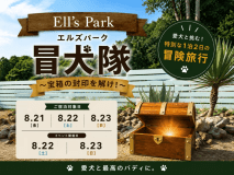 【３日間限定】愛犬と挑む！ エルズパーク冒犬隊宿泊プラン