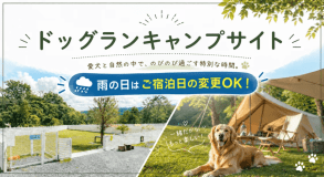 愛犬とのびのびキャンプ &ndash; 広々キャンプサイトでしっぽが止まらない！【雨の日は宿泊日の変更OK！】