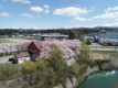 春の訪れ、桜めぐり
