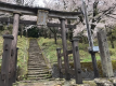 春の訪れ、桜めぐり