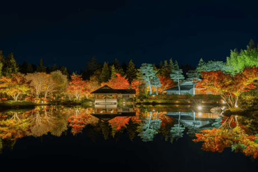 【先着100名様限定】昭和記念公園「秋の夜散歩2026」入園券&日本庭園ライトアップ観賞券付プラン - 朝食付 【先着100名様限定】昭和記念公園「秋の夜散歩2026」入園券&日本庭園ライトアップ観賞券付プラン - 朝食付