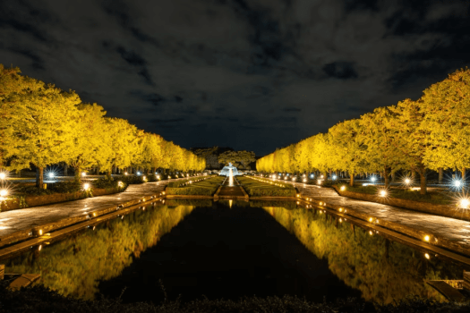 【先着100名様限定】昭和記念公園「秋の夜散歩2026」入園券&日本庭園ライトアップ観賞券付プラン - 朝食付 【先着100名様限定】昭和記念公園「秋の夜散歩2026」入園券&日本庭園ライトアップ観賞券付プラン - 朝食付
