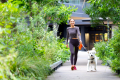 Pup and Owner Family Anniversary Package(Room only) ~Wa Modern~