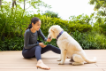 Pup and Owner Family Anniversary Package(Room only) ~Wa Modern~