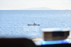 【5階】スタンダード・和室10畳