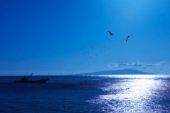 まるで凪いだような時間の流れ