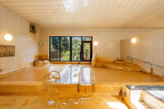 てっさてっちり鍋コース