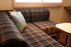 モデレート和風ダブル（27平米）（一例）