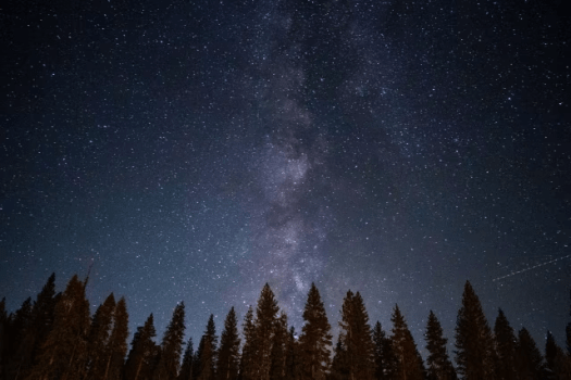 ◆◇◆愛犬と過ごす『蔵王の自然と薪火のくつろぎプラン』◆◇◆
